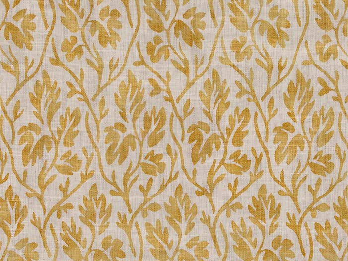 La Vigne Positive Mustard