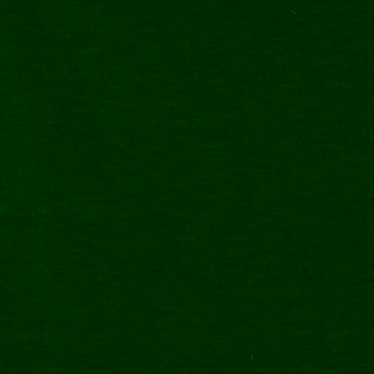 Meres Fabric by Gaston y Daniela in Verde