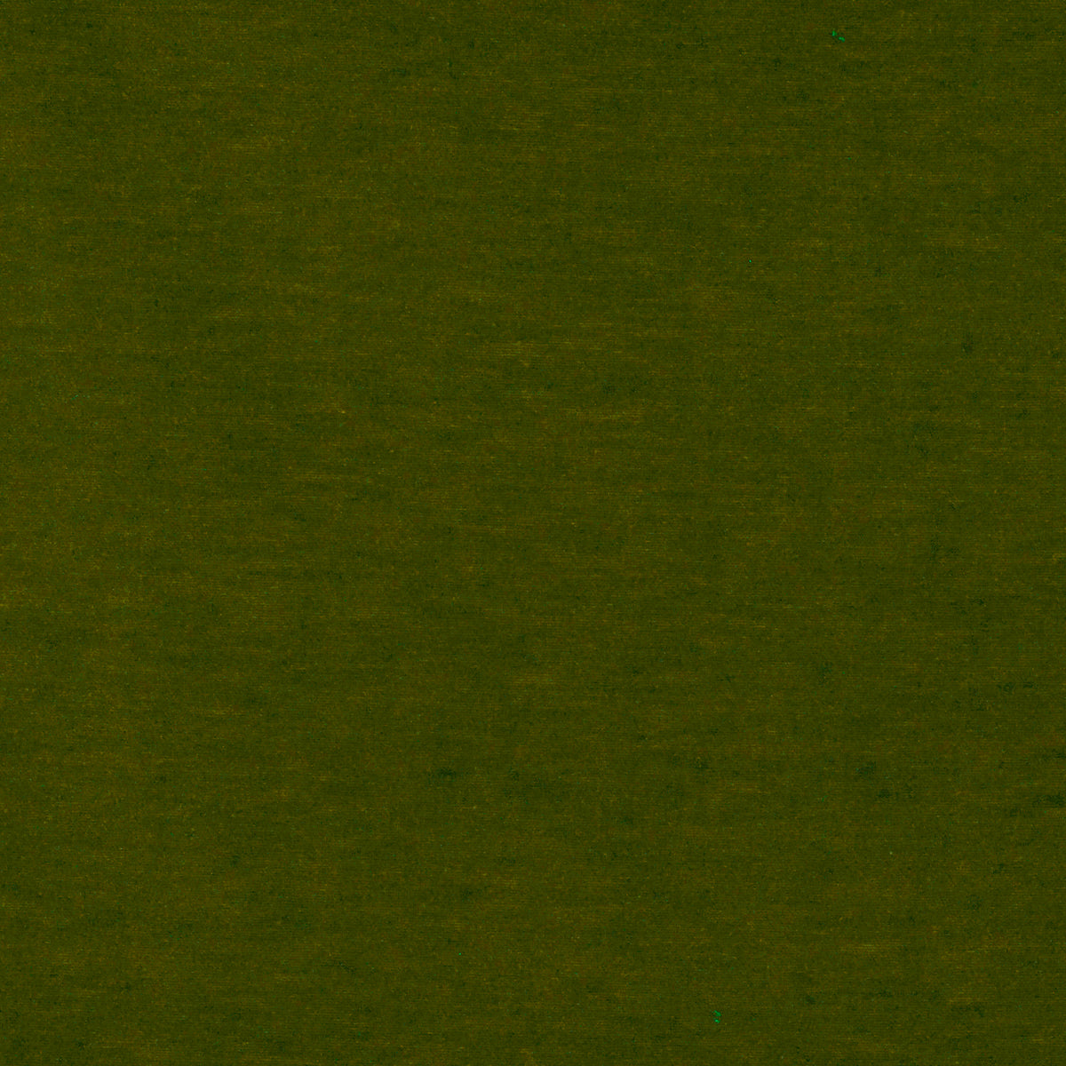 Meres Fabric by Gaston y Daniela in Verde Claro
