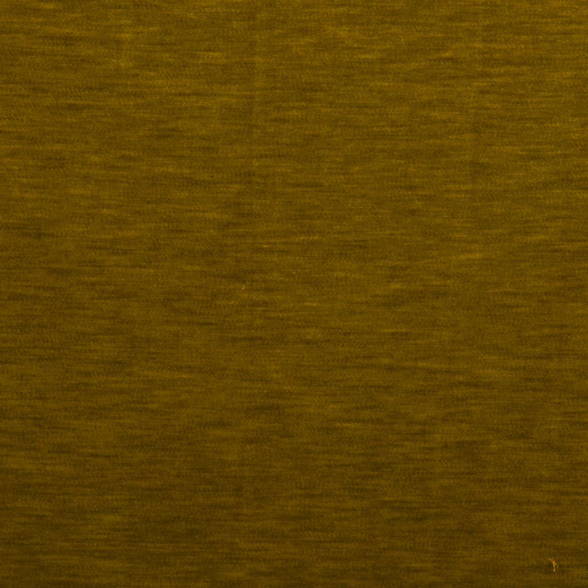 Meres Fabric by Gaston y Daniela in Aceite