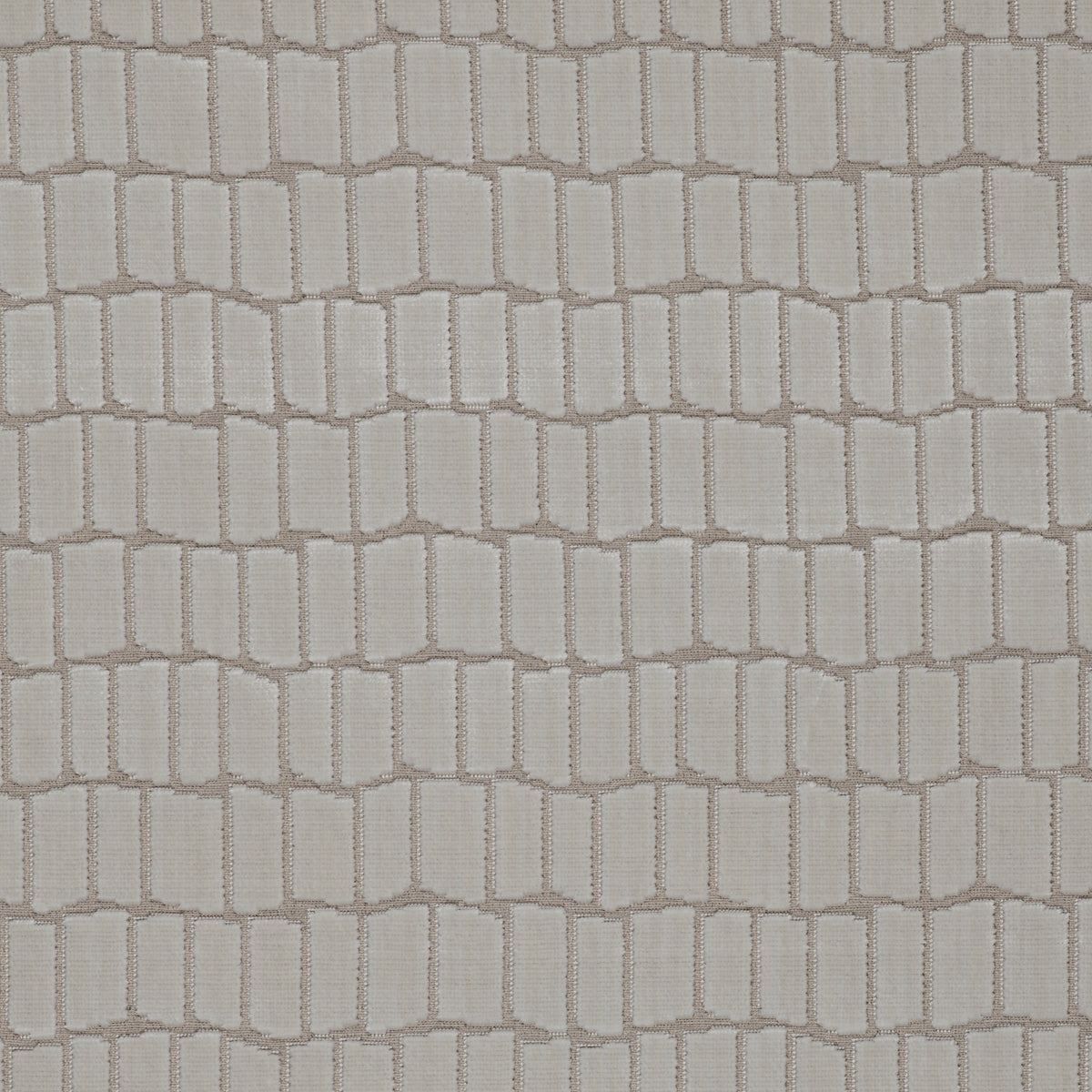 Maximo Fabric by Gaston y Daniela in Blanco