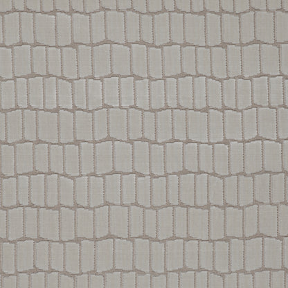 Maximo Fabric by Gaston y Daniela in Blanco