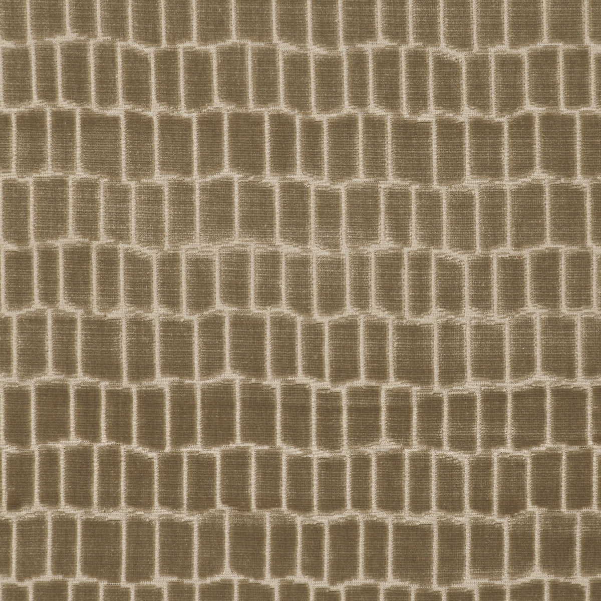 Maximo Fabric by Gaston y Daniela in Lino