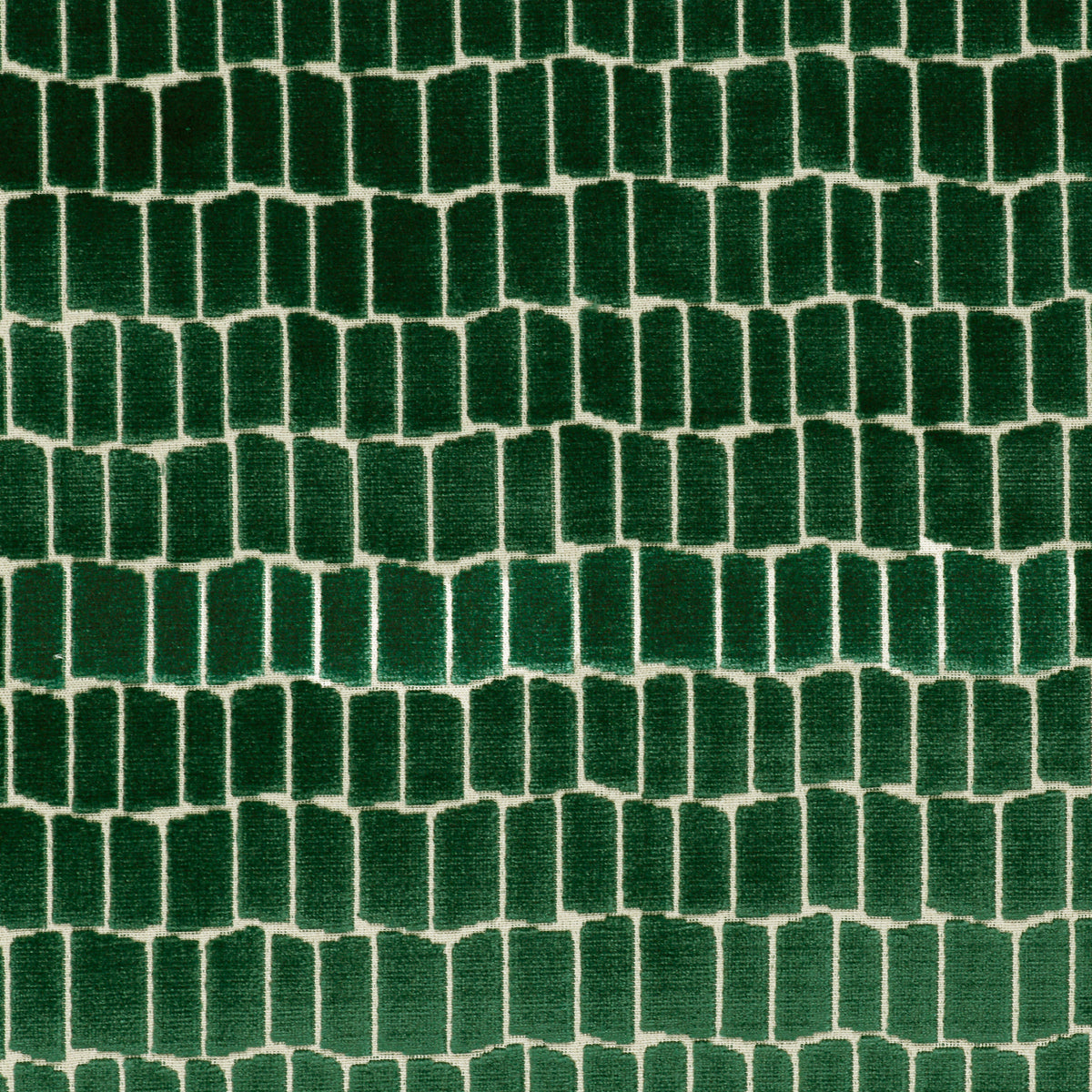 Maximo Fabric by Gaston y Daniela in Verde
