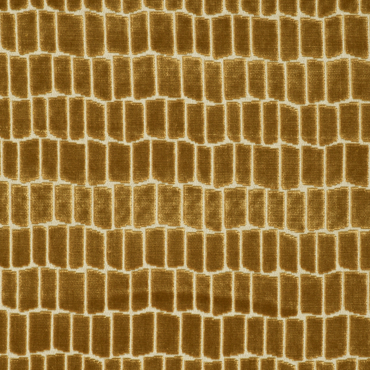 Maximo Fabric by Gaston y Daniela in Oro