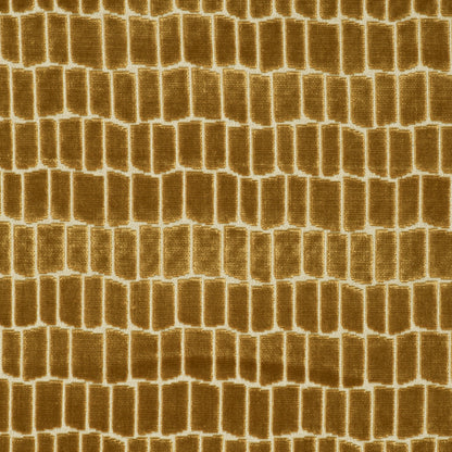 Maximo Fabric by Gaston y Daniela in Oro