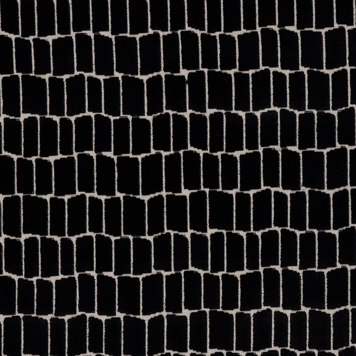 Maximo Fabric by Gaston y Daniela in Onyx