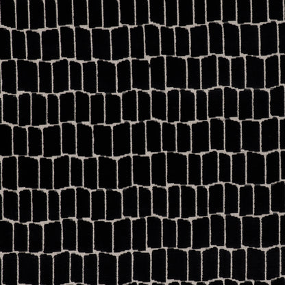 Maximo Fabric by Gaston y Daniela in Onyx