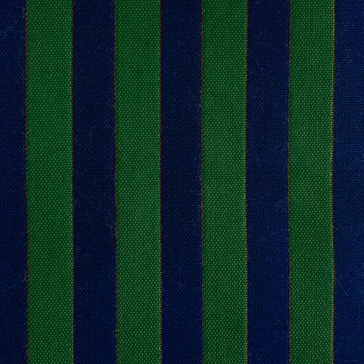 Benjamin Fabric by Gaston y Daniela in Navy/Verde