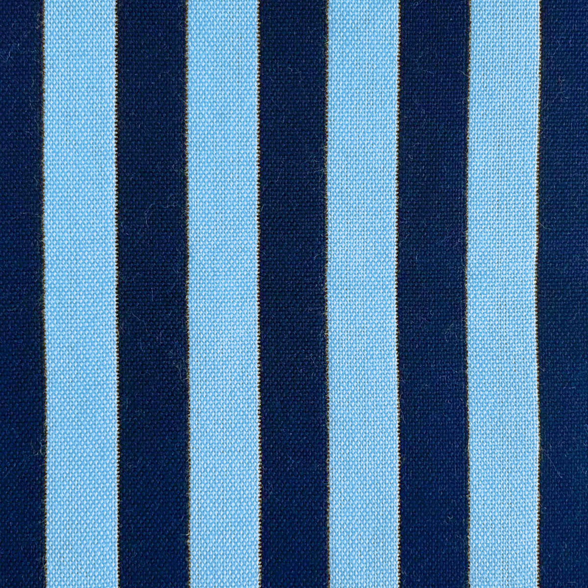 Benjamin Fabric by Gaston y Daniela in Azul