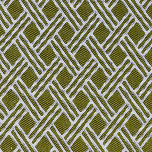 Dorcas Fabric by Gaston y Daniela in Verde Hoja