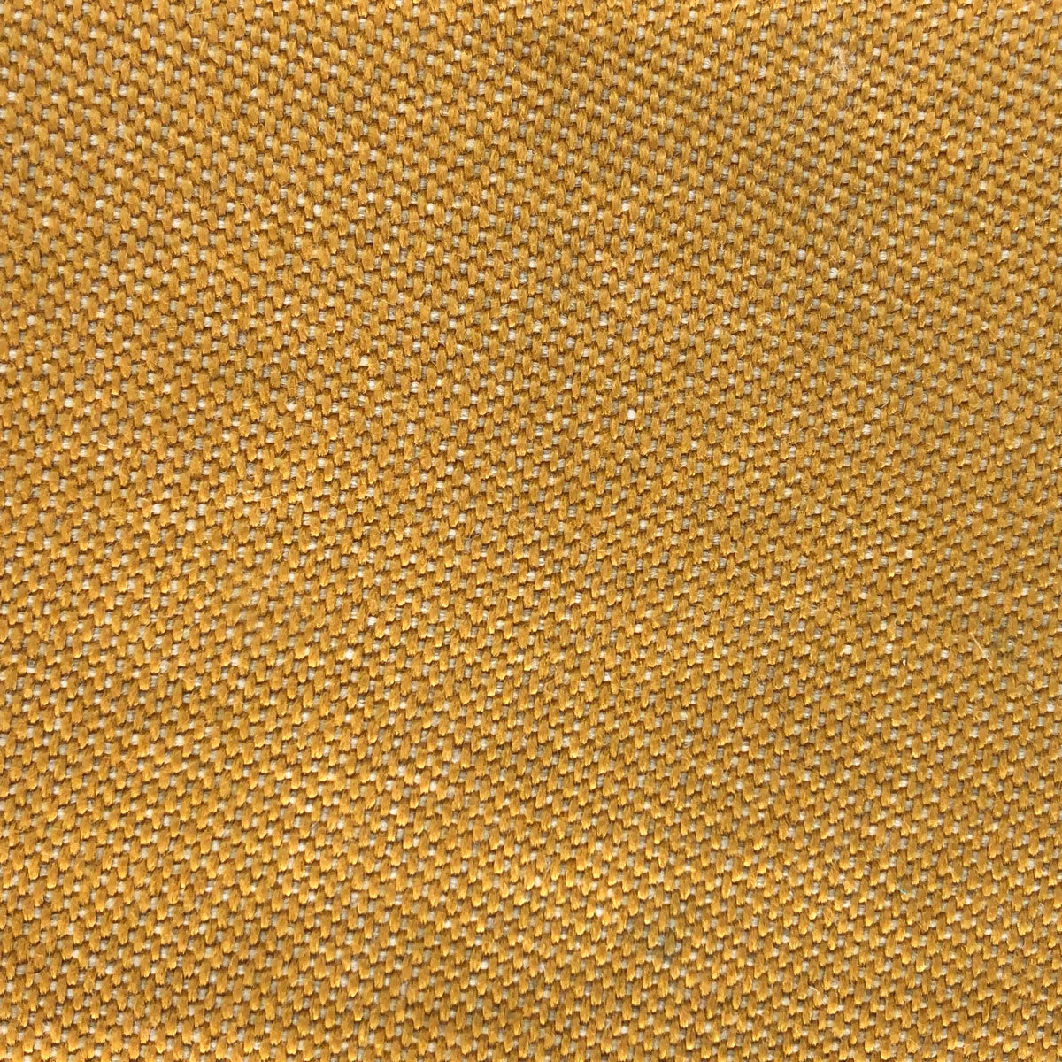 Max Fabric by Gaston y Daniela in Amarillo