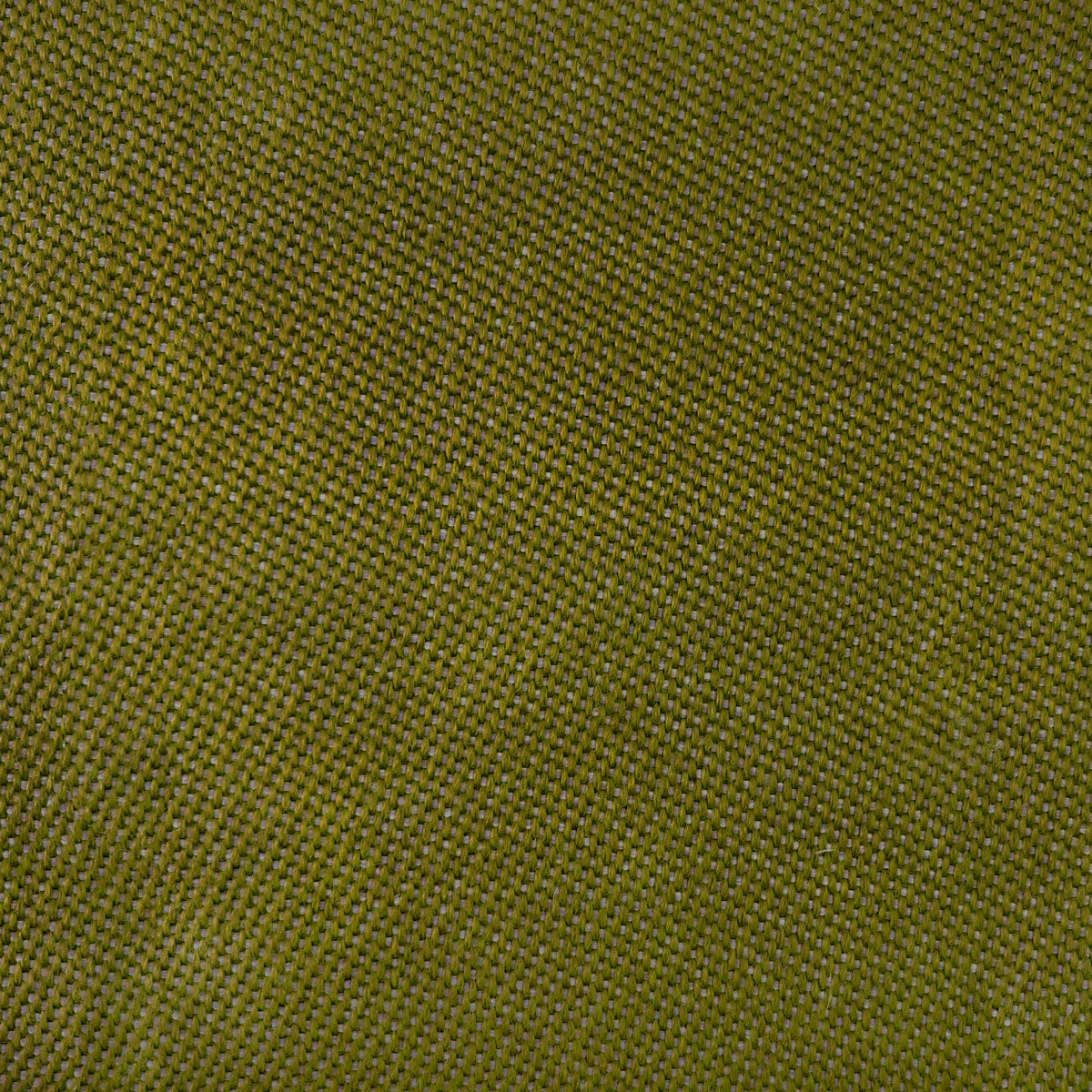Max Fabric by Gaston y Daniela in Verde