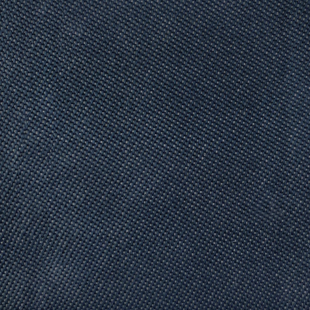 Max Fabric by Gaston y Daniela in Navy