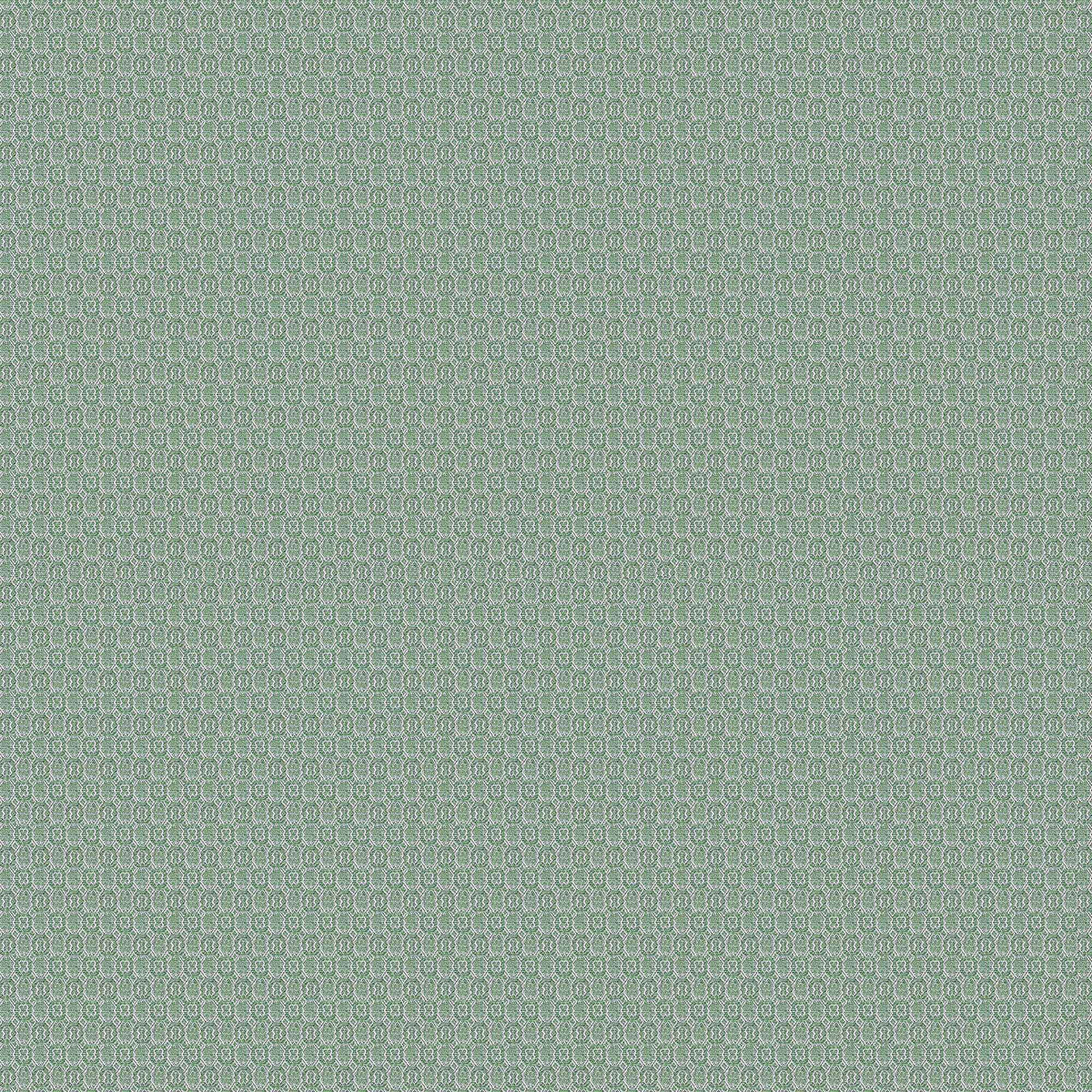 Sobresaliente Fabric by Gaston y Daniela in Verde