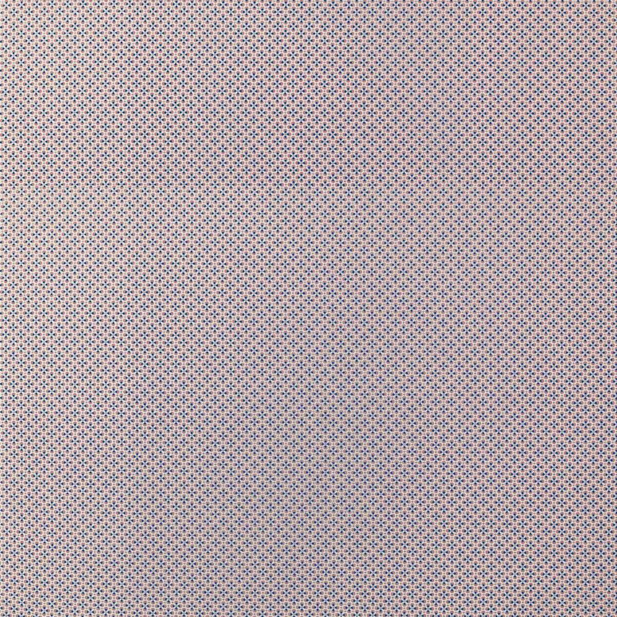 Prodigiosa Fabric by Gaston y Daniela in Rosa/Azul