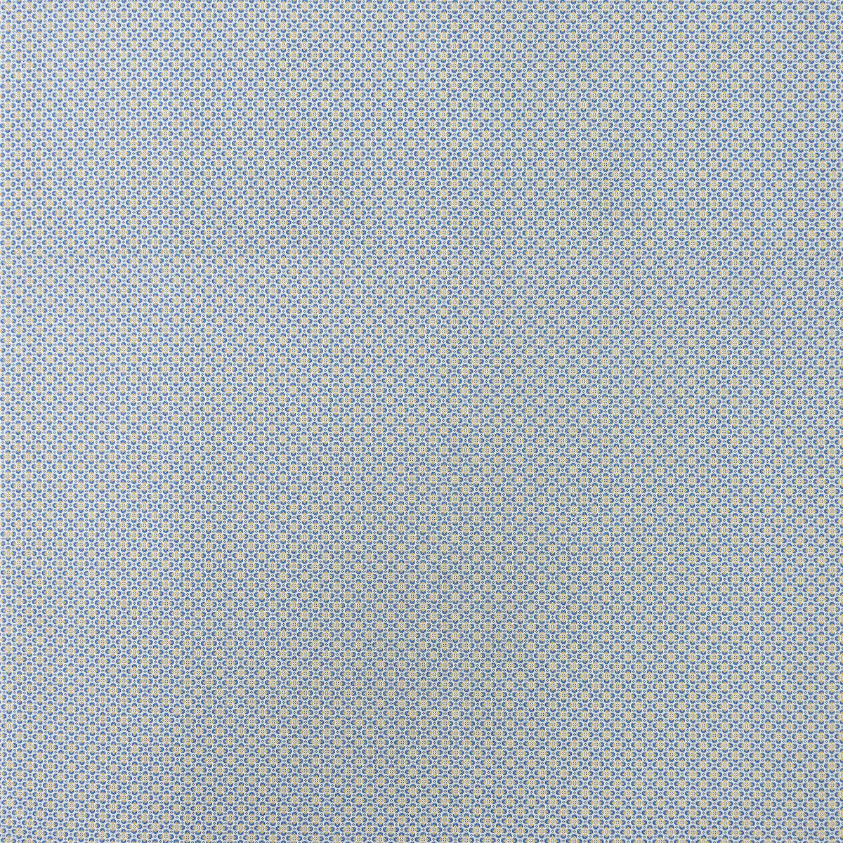 Prodigiosa Fabric by Gaston y Daniela in Azul/Amarillo