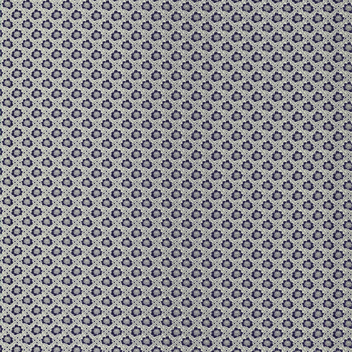 Espinela Fabric by Gaston y Daniela in Antracita