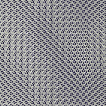 Espinela Fabric by Gaston y Daniela in Antracita