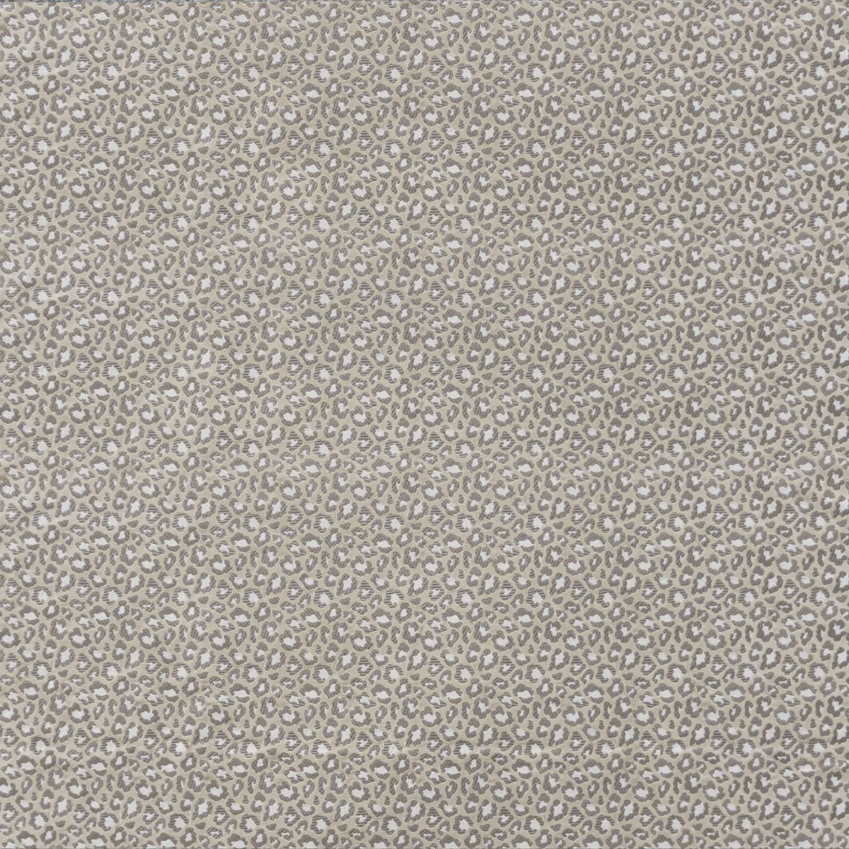 Capricornio Fabric by Gaston y Daniela in Crudo