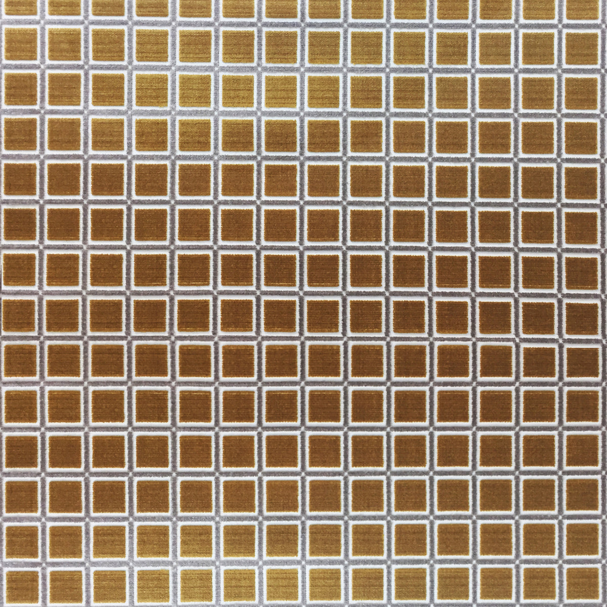 Buitrago Fabric by Gaston y Daniela in Oro/Tostado
