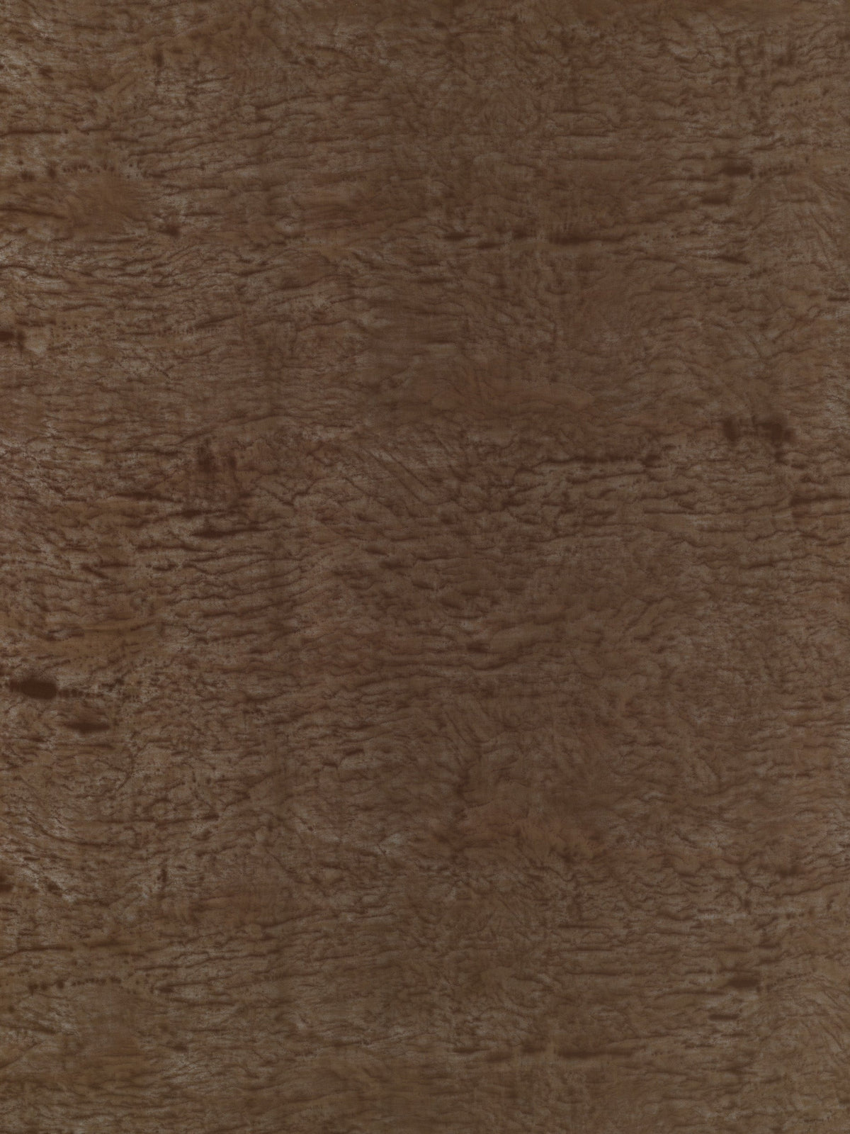 Landscape I Cowry texture