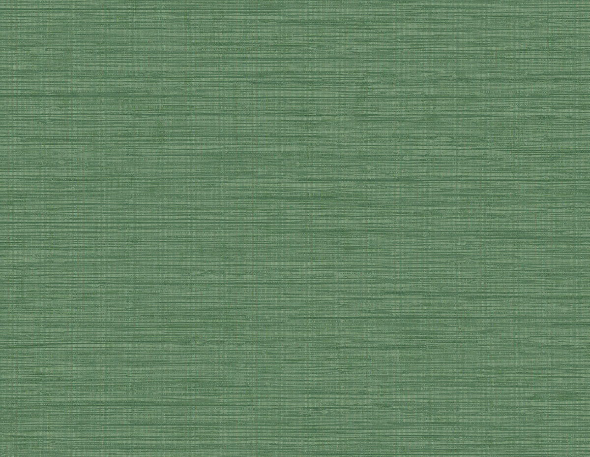 Seabrook Beach House Nautical Twine Wallpaper - Green