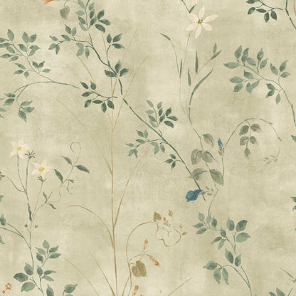 Meadow Whisper Sage Green Wallpaper