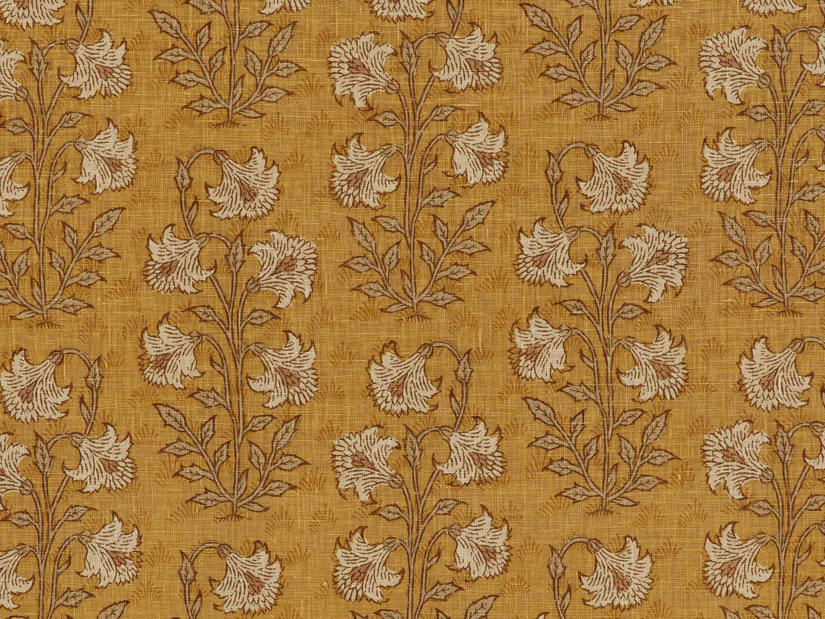 Morog Jhuti Sandalwood