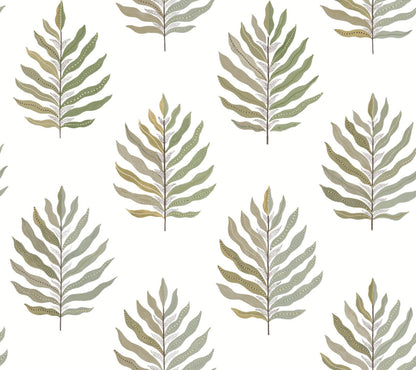 Miramar Wallpaper