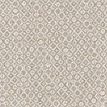 TRH5145 Performance Fabric