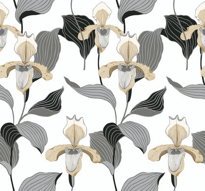 Lady Slipper Wallpaper