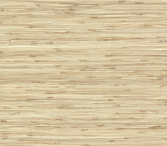 River Grass Wallpaper