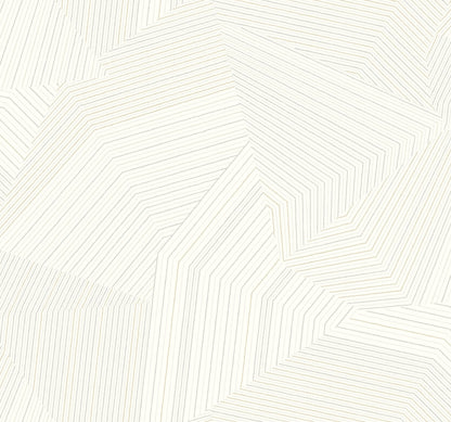 Dotted Maze Wallpaper