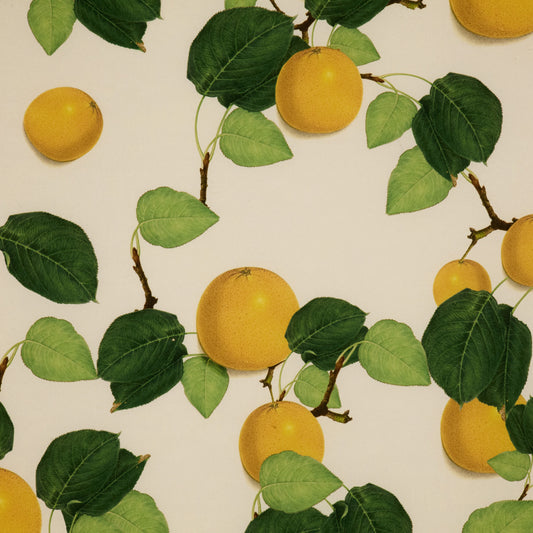 Orange & Leaves Outdoor Fabric by Jennifer Shorto in Green