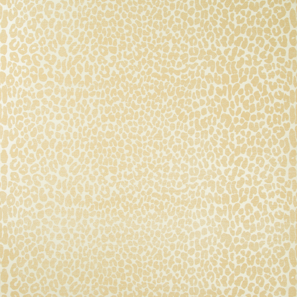 Ocicat Paper - Camel