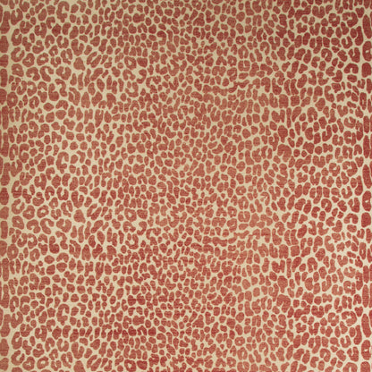 Ocicat Paper - Red