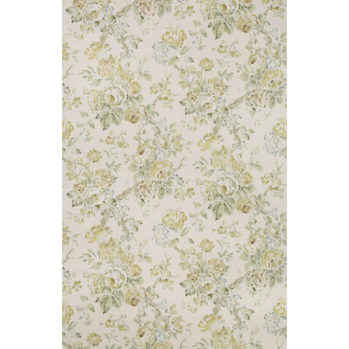 Garden Roses Wp - Lime/Leaf
