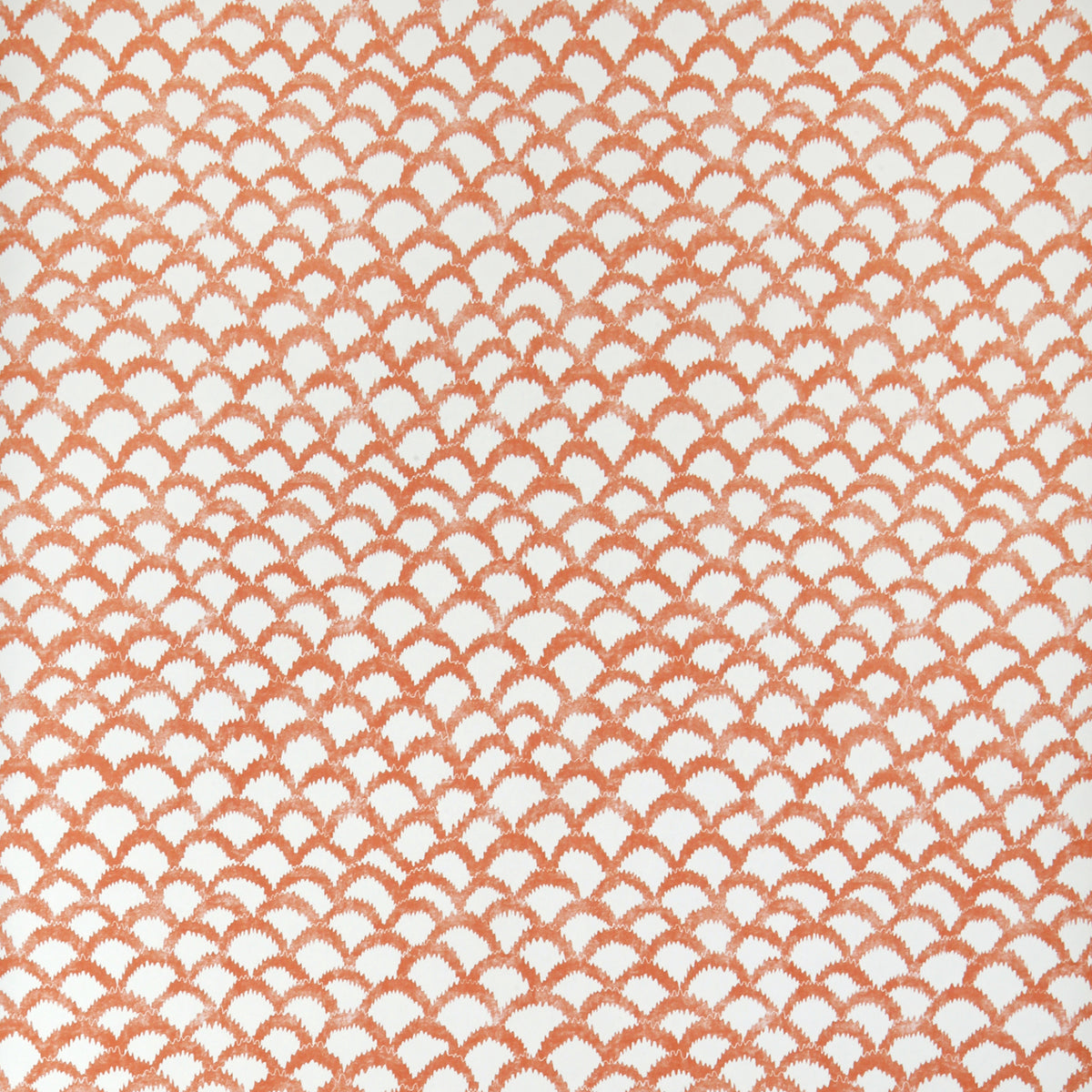 Roche Wp - Orange