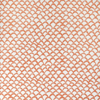 Roche Wp - Orange
