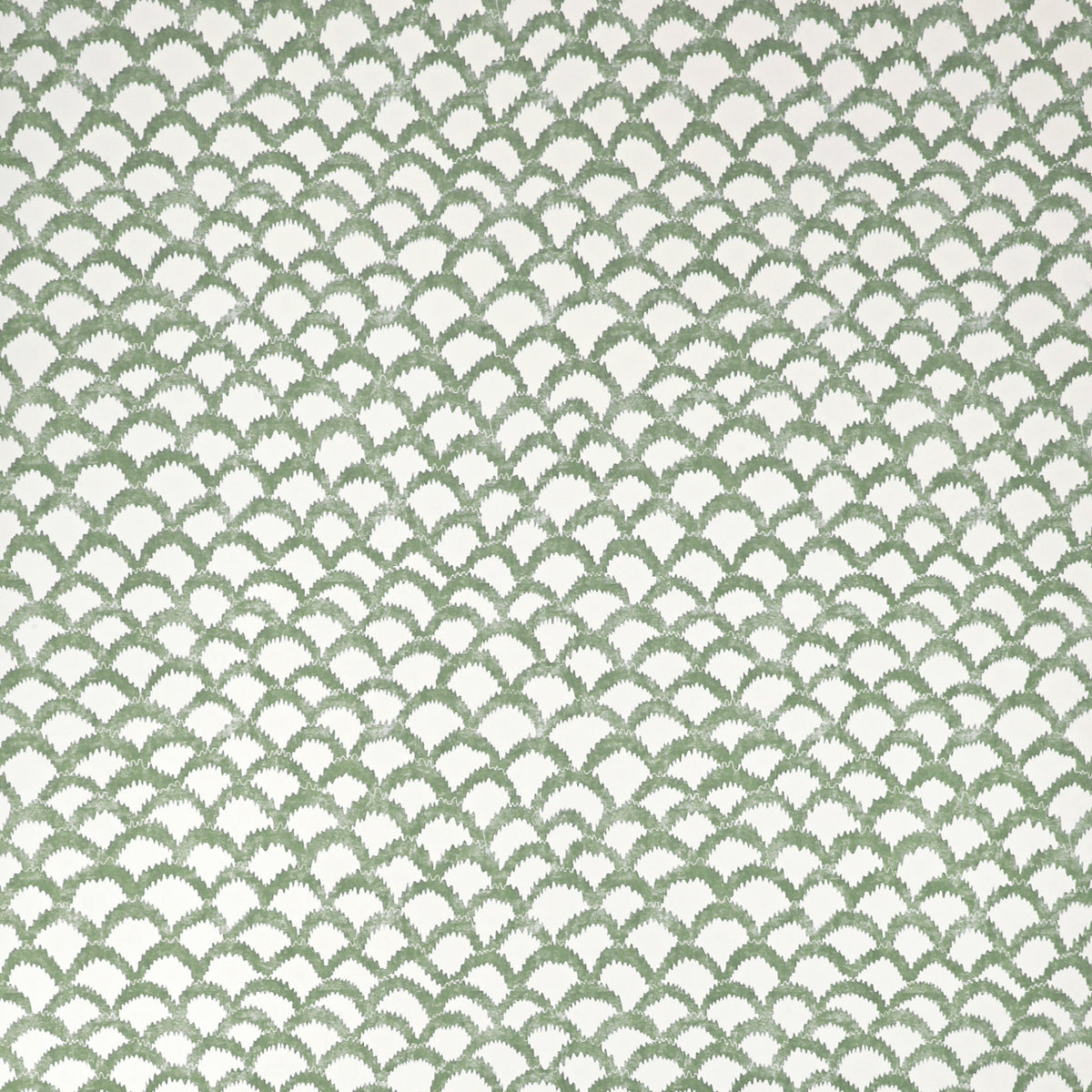 Roche Wp - Green