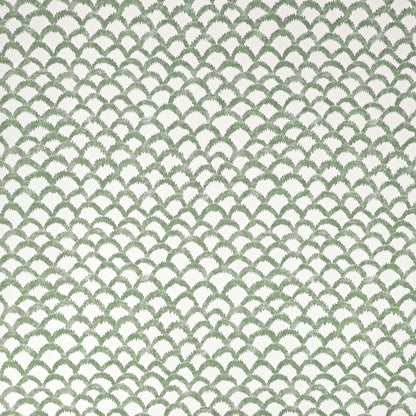 Roche Wp - Green
