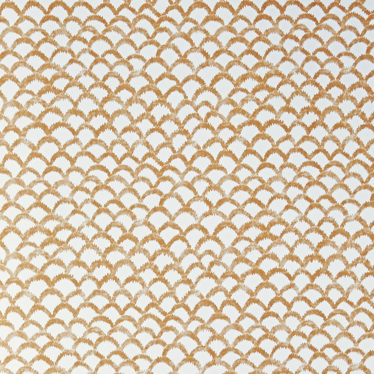 Roche Wp - Ochre