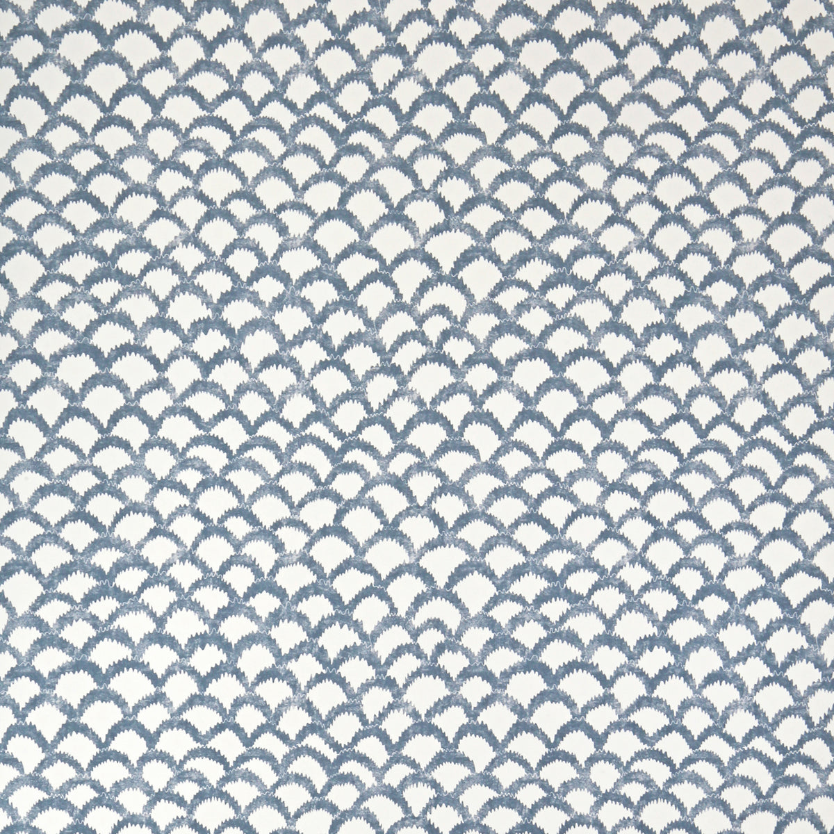 Roche Wp - Blue