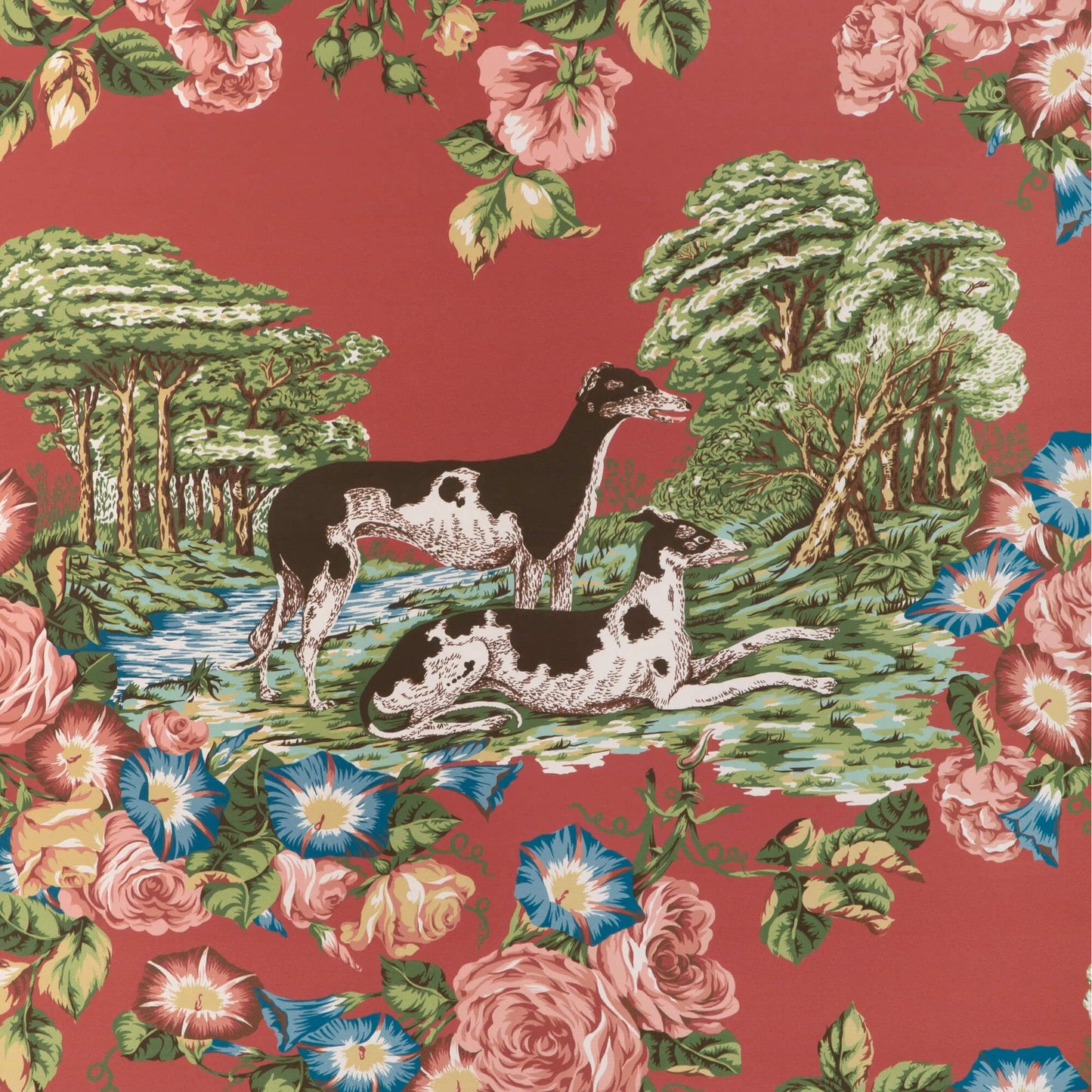 Whippets Wallpaper