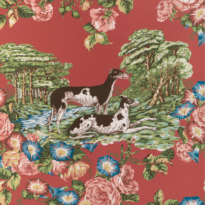 Whippets Wallpaper