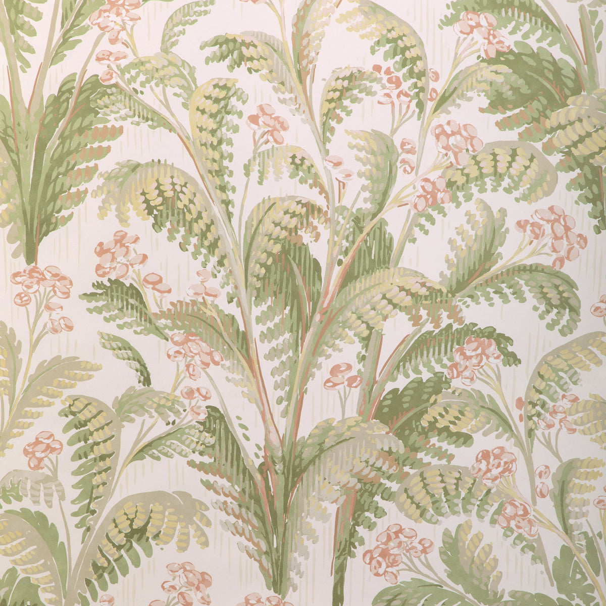 Pashley Paper - Blush