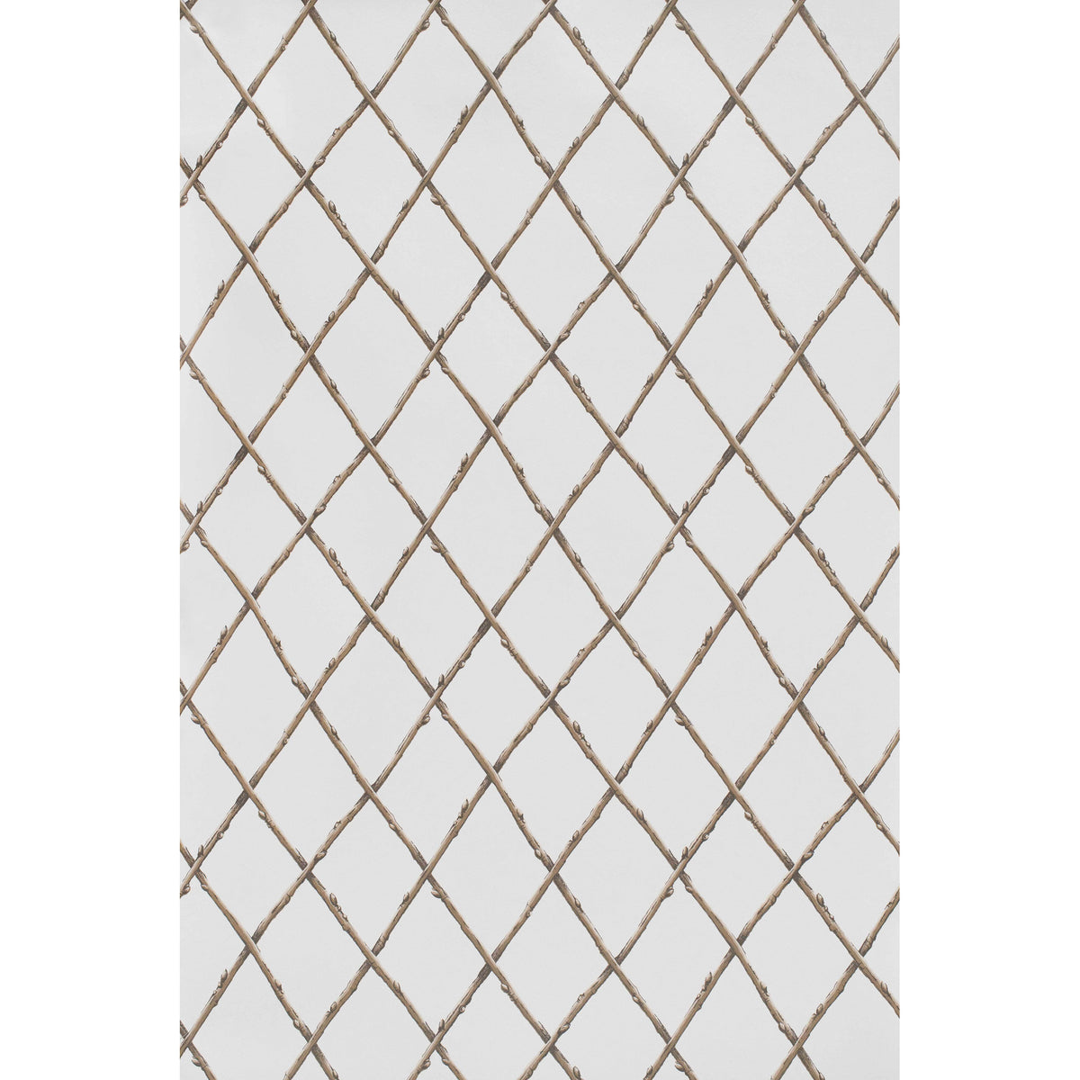 Bare Twig Trellis Wp - Brown