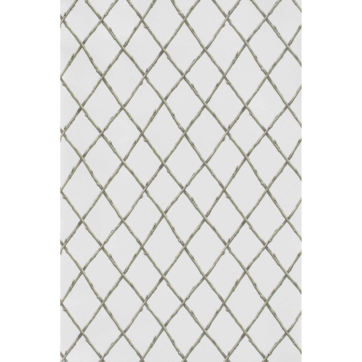Bare Twig Trellis Wp - Green