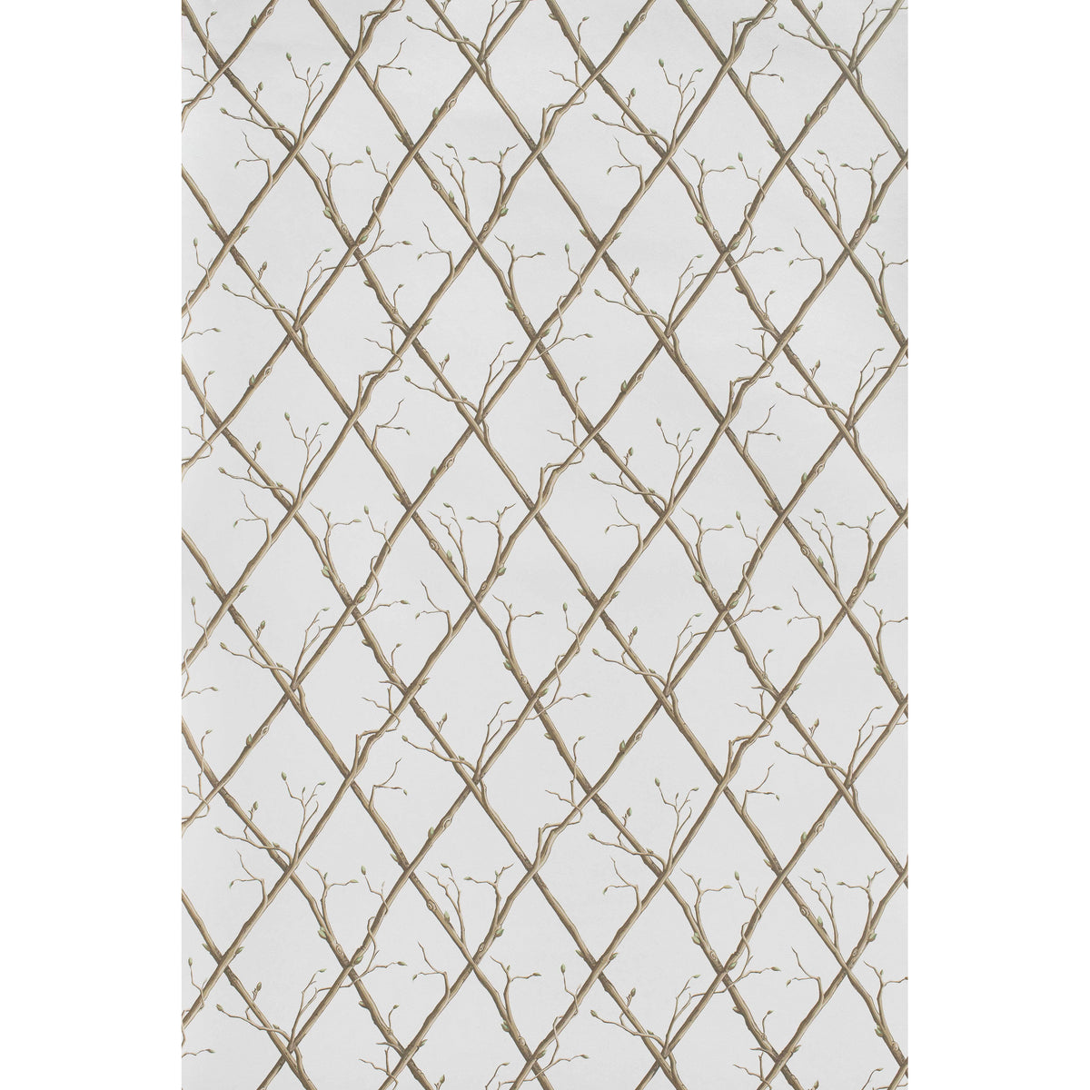 Twig Trellis Wp - Brown
